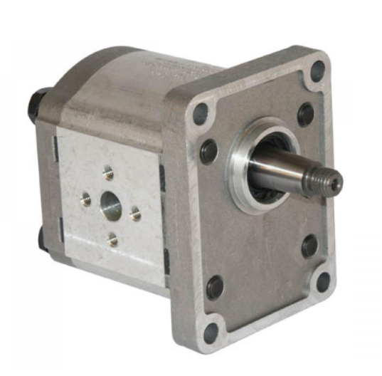 Casappa Getriebemotor PLM20 6cc 82E2