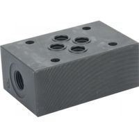 Meetplaat in P+T NG6 1/4 BSP