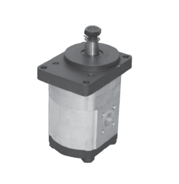 Hydraulische Zahnradpumpe Gruppe 2 links 11cc mit Lager