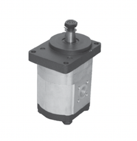 Hydraulische Zahnradpumpe Gruppe 2 rechts 12cc mit Lager