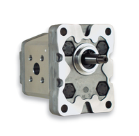 Marzocchi 8 cc Zahnradpumpe links mit 1:8 konischer Welle Gruppe 10