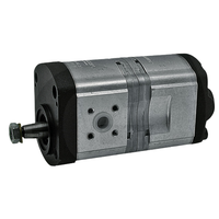 Bosch Rexroth Doppelhydraulikpumpe für Case-Serie 33, 40, 43, 44, 45, 56