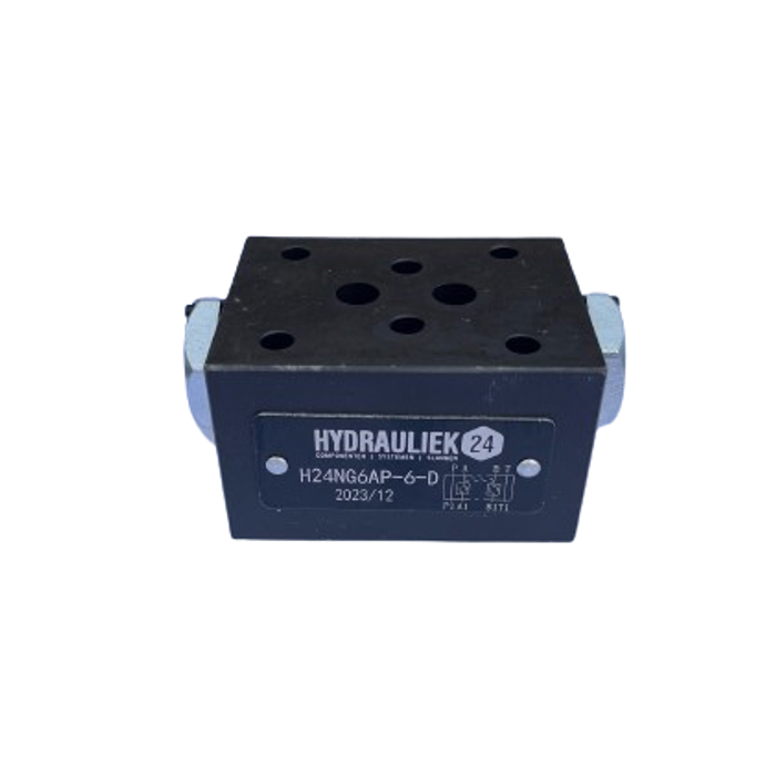 NG6 hydrauliek druk gestuurde terugslagklep in A