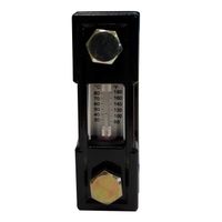 Schauglas mit Thermometer - Anschluss M10 Länge 76 mm