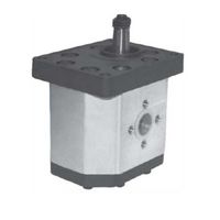 Hydraulischer Zahnradmotor 30MR-Serie 50cc