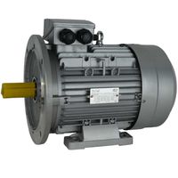 IE1-EG Elektromotor 18,5 kW, 230/400 Volt 1500 RPM